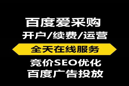 百度竞价推广运营策略：成功案例解析